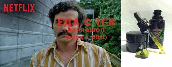 гидра Абаза