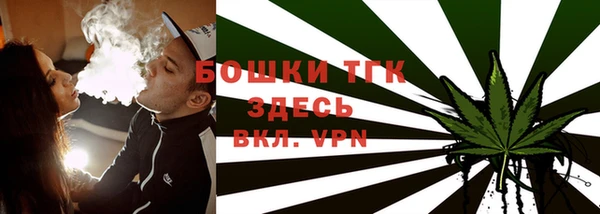 гидра Абаза