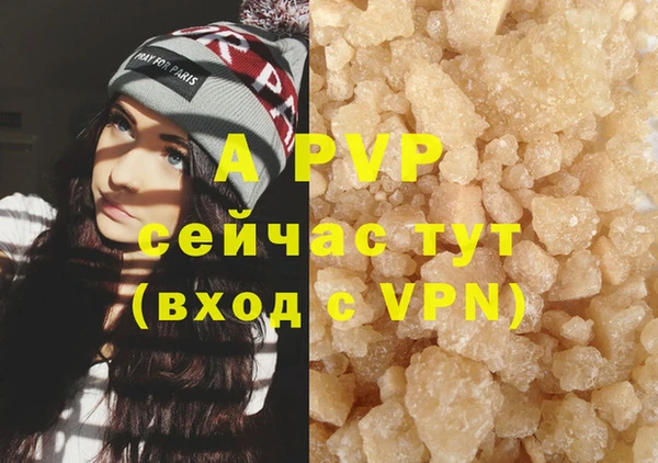 гидра Абаза