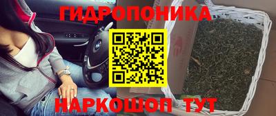 трава Нягань